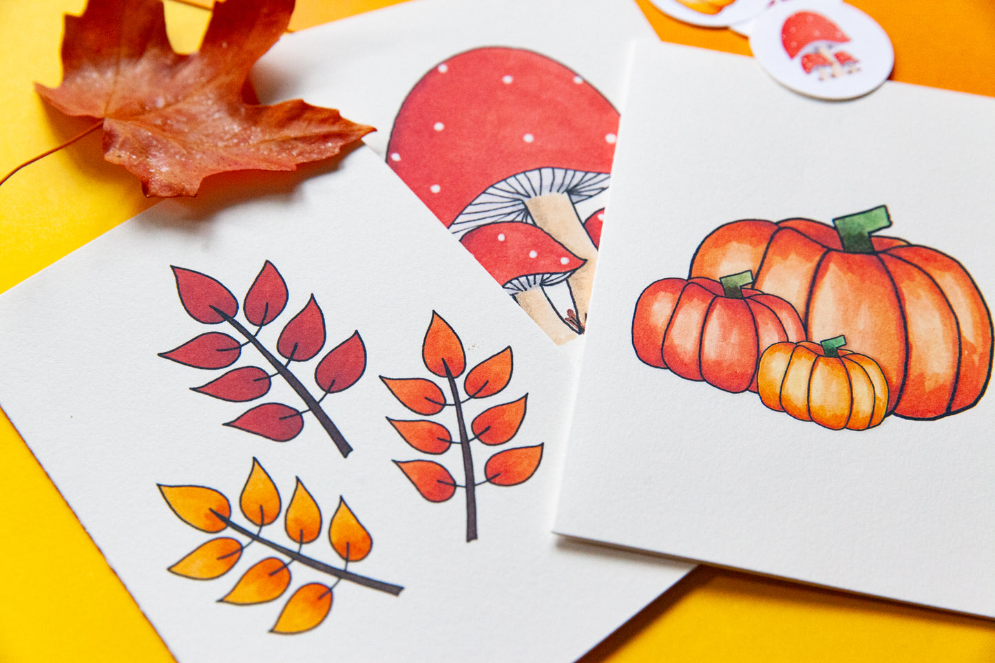 Blank Fall Notecard Set - 3 Cards